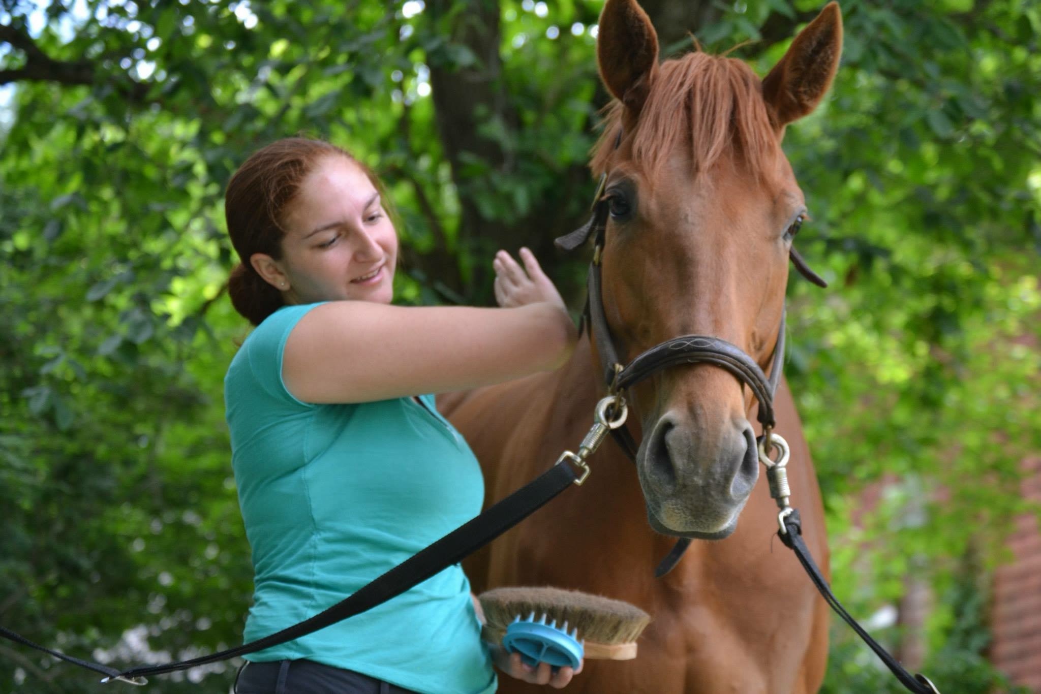 An owner grooming her chestnut horse outdoors