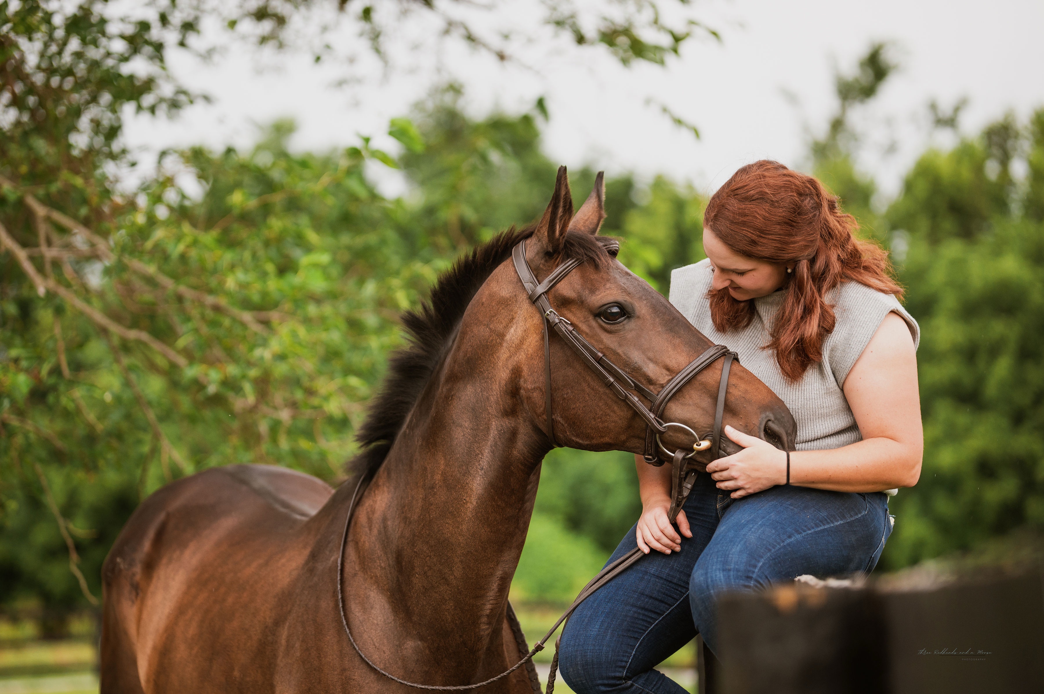 A bay horse and its owner, close up