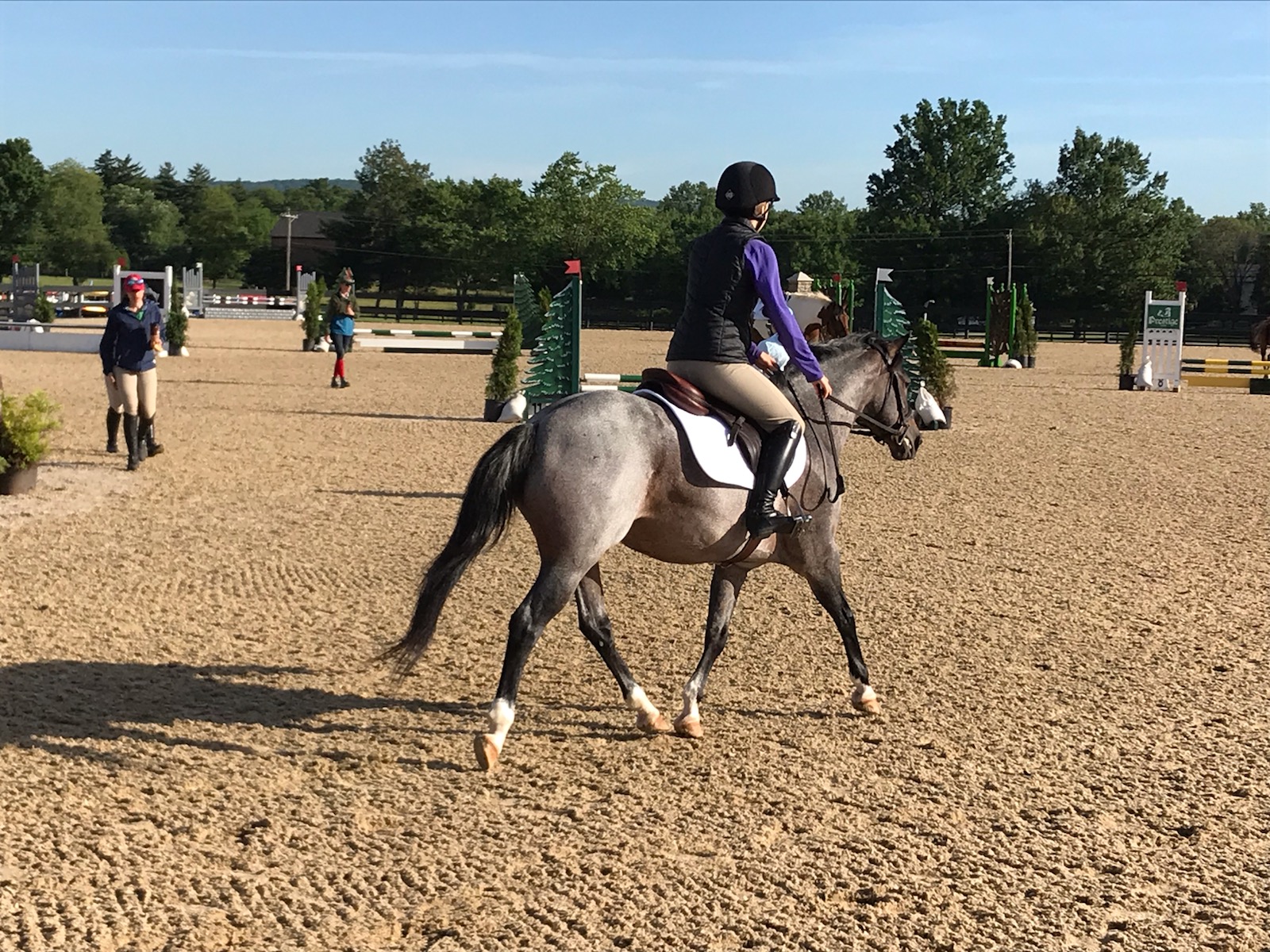 A horse and rider cantering in a show arena